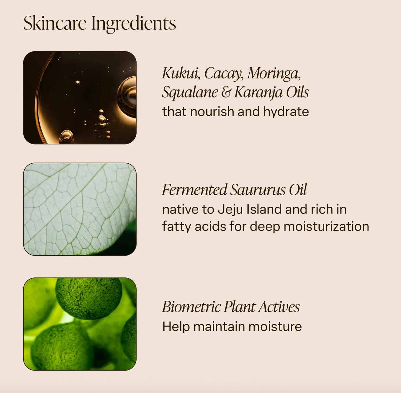 Saltair Shea Soleil Nourishing Body Oil