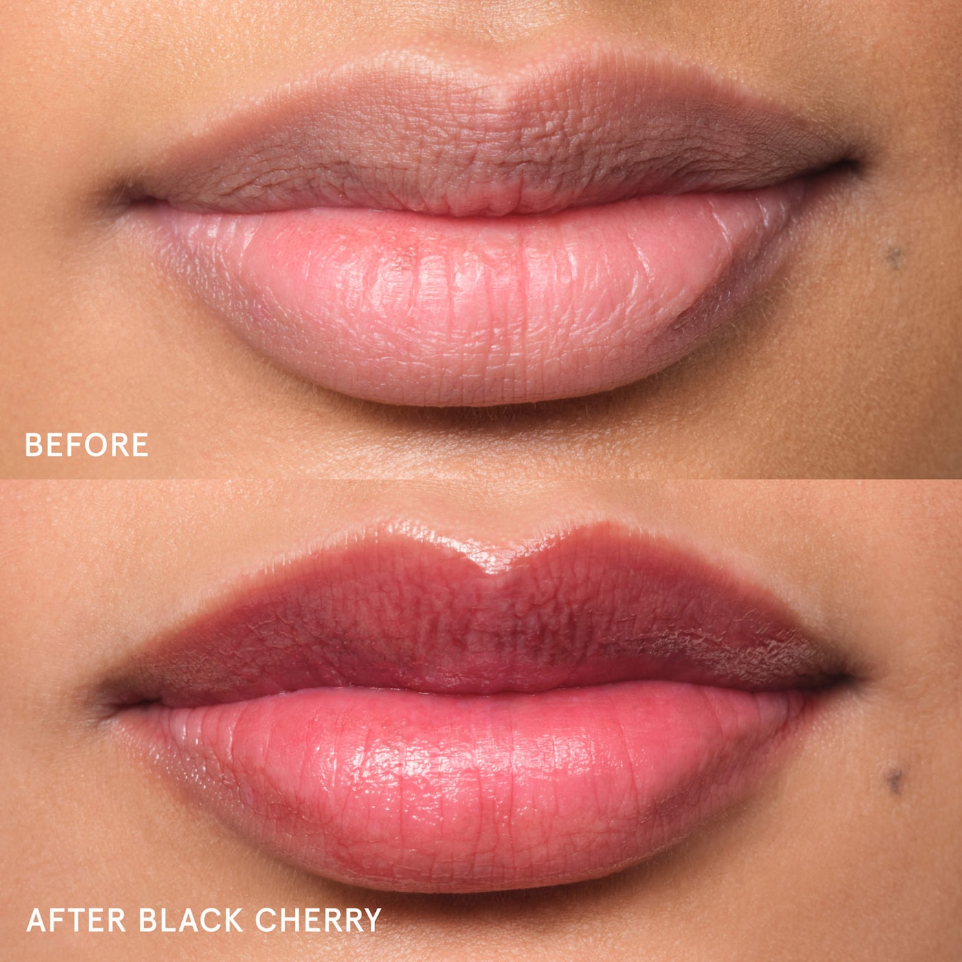 Glossier Balm Dotcom Lip Balm
